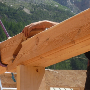 Levage des porteuses